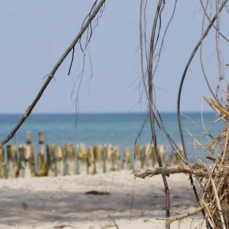 Apartment 21 Nienhagen