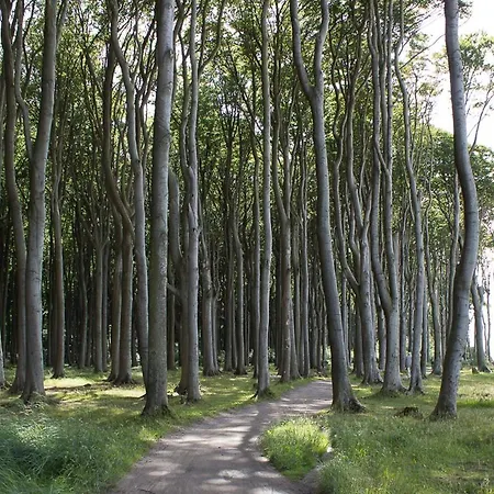 21 Apartment Nienhagen